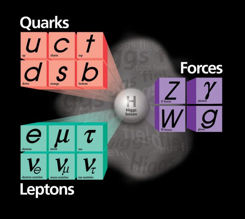 quarks-leptons-higgs-boson-forces-e1527705644831.jpg